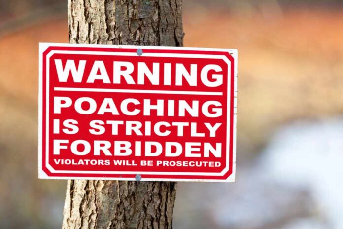Sign,Nailed,To,A,Tree,Trunk,Saying,"warning,,Poaching,Is