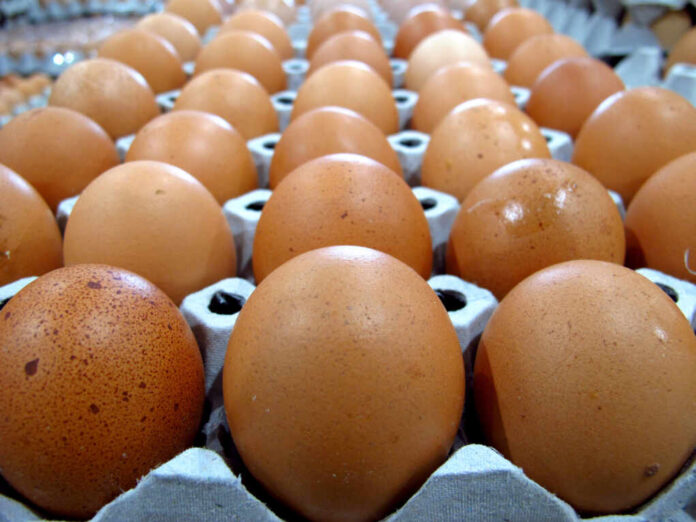 Fresh,Eggs,For,Cooking