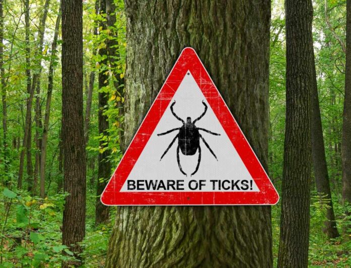 Warning,Sign,Beware,Of,Ticks,In,Infested,Area,In,Oak