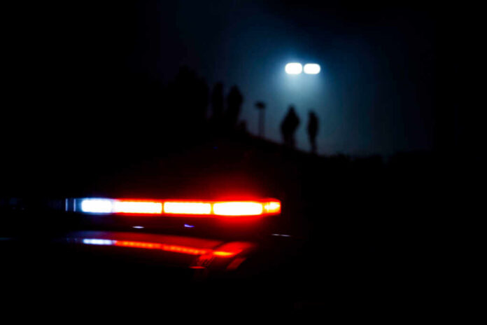 Police vehicle lights illuminating a dark scene with silhouettes in the background