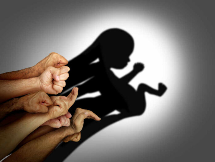 shutterstock2170364489jpg A collection of hands creating a shadow silhouette of a fetus