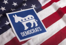 Democratic Party logo featuring a donkey on an American flag background
