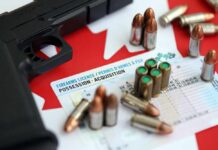 A handgun and ammunition placed on a firearms license document