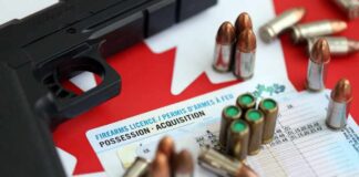 A handgun and ammunition placed on a firearms license document