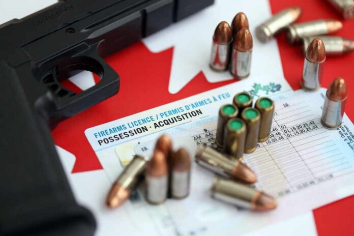 A handgun and ammunition placed on a firearms license document