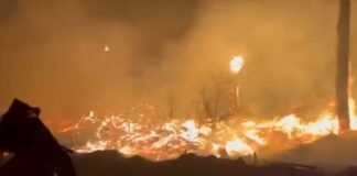 Massive Wildfires Engulf Georgia: 40,000 Acres Lost