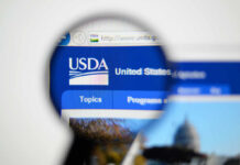 Close-up view of the USDA website homepage through a magnifying glass