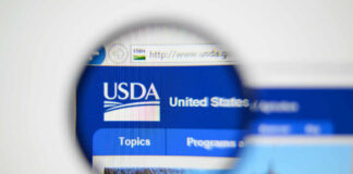 Close-up view of the USDA website homepage through a magnifying glass