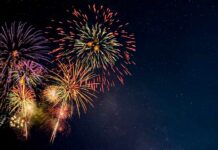 Colorful fireworks bursting in the night sky