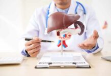 Doctor explaining an anatomical model of the liver and pancreas