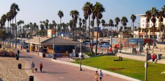 People walking and biking along a beach promenade with palm trees