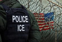 Illegal Trucker’s 3-Year Dodge Ends with ICE A police officer in a tactical vest stands near a barbed wire fence with an American flag in the background