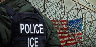 Illegal Trucker’s 3-Year Dodge Ends with ICE A police officer in a tactical vest stands near a barbed wire fence with an American flag in the background