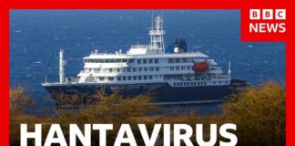 TRAPPED at Sea: Fatal Virus Hunts Passengers