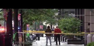 White House Chaos: Gunfire Sparks Lockdown! Gunman killed by Secret Service outside White House