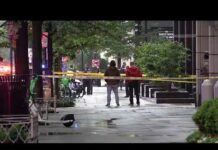 White House Chaos: Gunfire Sparks Lockdown! Gunman killed by Secret Service outside White House