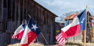 Illegal Birth Tourism Racket Revealed in Texas Texas and American flags displayed on hay bales in a rural setting