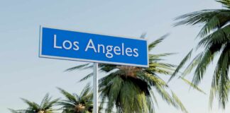 Sign indicating Los Angeles with palm trees in the background