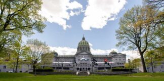Capitol building with green dome behind a lawn and trees