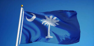 South Carolina state flag waving against a blue sky