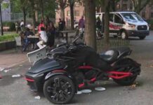 Intent Or Accident? Central Park Mystery Deepens