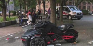 Intent Or Accident? Central Park Mystery Deepens