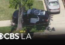 Murder Hype Outruns Proof in L.A. Murder Hype Outruns Proof in L.A.