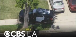 Murder Hype Outruns Proof in L.A. Murder Hype Outruns Proof in L.A.