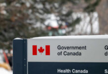Americans Beg Canada For Safety Sign for the Government of Canada featuring the national flag and Health Canada