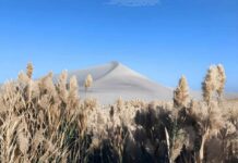 China’s Mega Project Faces Reality