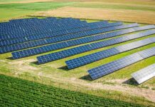 Why Musk Is Chasing Massive Solar Solar panels in a field