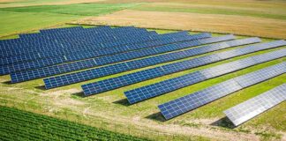Why Musk Is Chasing Massive Solar Solar panels in a field