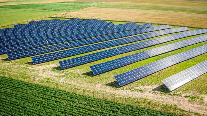 shutterstock_1849604332 Solar panels in a field