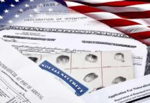 ICE Detainers Ignored Before Veteran’s Murder U.S. immigration and naturalization documents with American flag