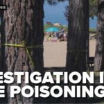 Suspicious substance found at bases of 16 trees at Burnt Cedar Beach in Incline Village