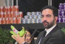 Mamdani reveals details about city-run grocery stores