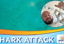Florida Man Recalls Terrifying 7-Foot Nurse Shark Bite Near Key West