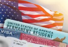 Trump Team Takes Aim At 175,000 Visas U.S. flag with visa and permanent resident cards