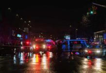Nighttime police scene with flashing lights on a wet city street