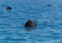 Iran Denies Mines As Trump Escalates Naval sea mine floating in blue ocean water