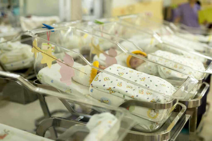 779731516 Newborn babies in a hospital nursery.