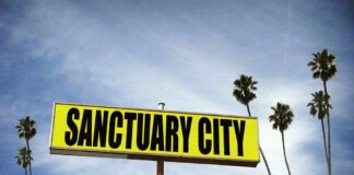 Yellow roadside sign reading Sanctuary City with palm trees