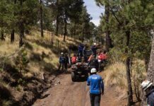 rescue team with ATVs on a forest trail