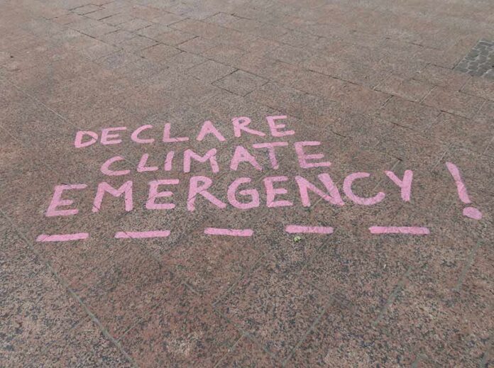 Pink chalk message on pavement