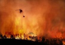 Campfire Negligence Turns Deadly Helicopter fights massive wildfire over burning forest